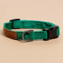 Easy Dog Collar in Green