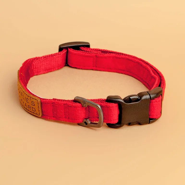 Easy Dog Collar in Red