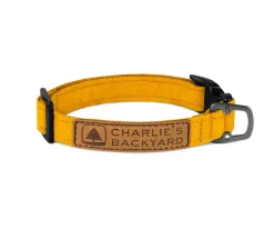 Easy Dog Collar in Yellow