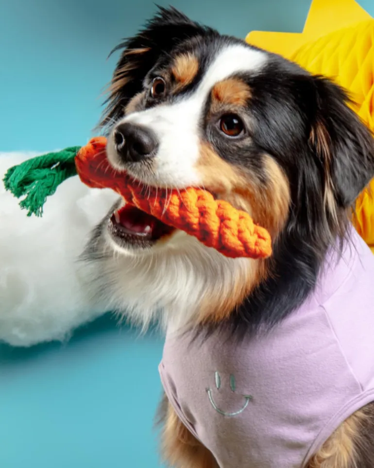 Eco-Friendly Carrot Rope Dog Toy