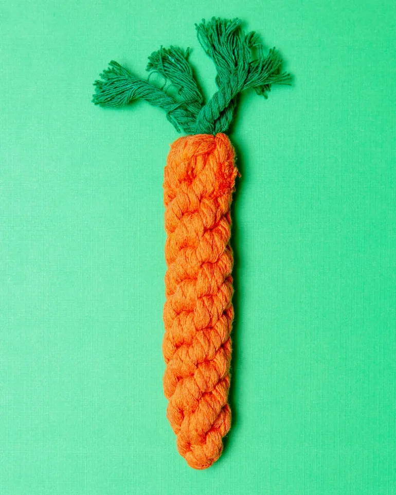 Eco-Friendly Carrot Rope Dog Toy