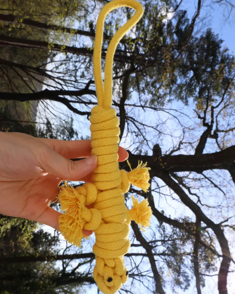 Eco-Friendly Green Lizard Dog Rope Toy