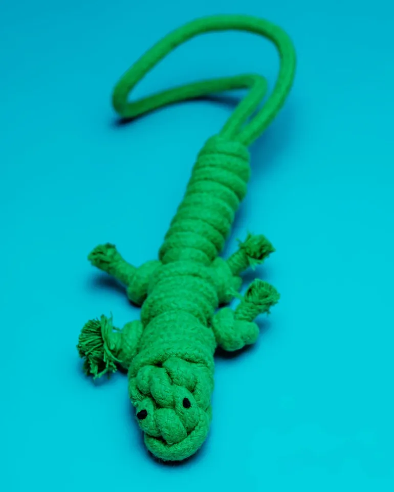 Eco-Friendly Green Lizard Dog Rope Toy
