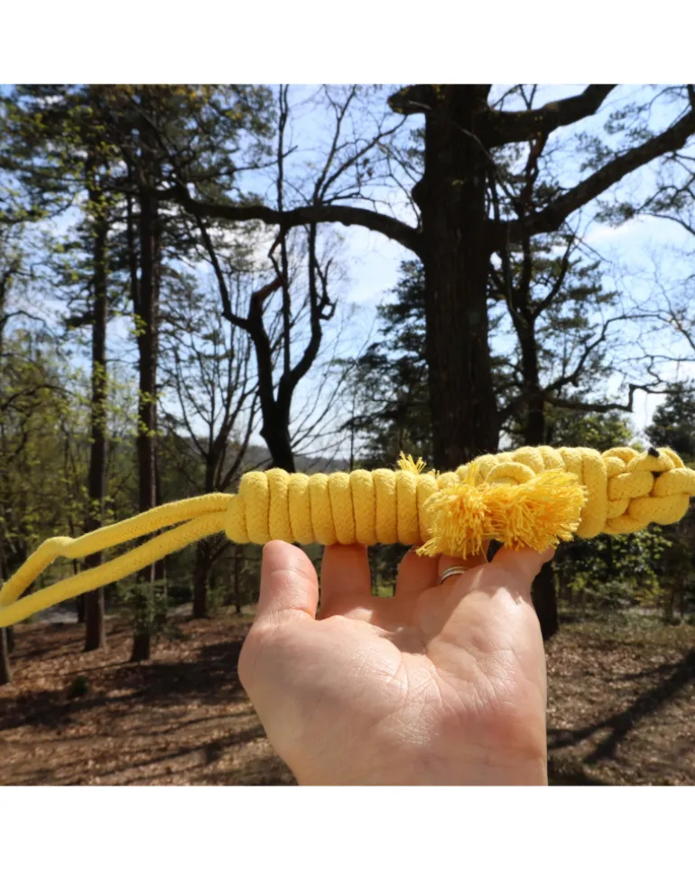 Eco-Friendly Green Lizard Dog Rope Toy