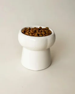 Elevated Pet Food Bowl in Creamy Beige