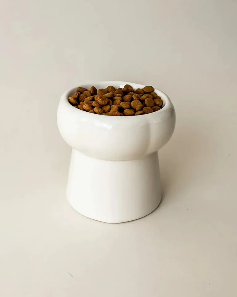 Elevated Pet Food Bowl in Creamy Beige