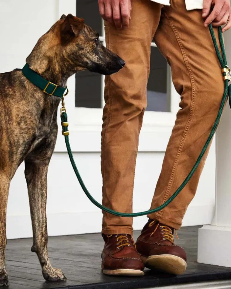 Evergreen Marine Rope Dog Leash (Made in the USA)