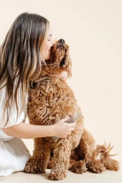 Everyday Comb for Dogs