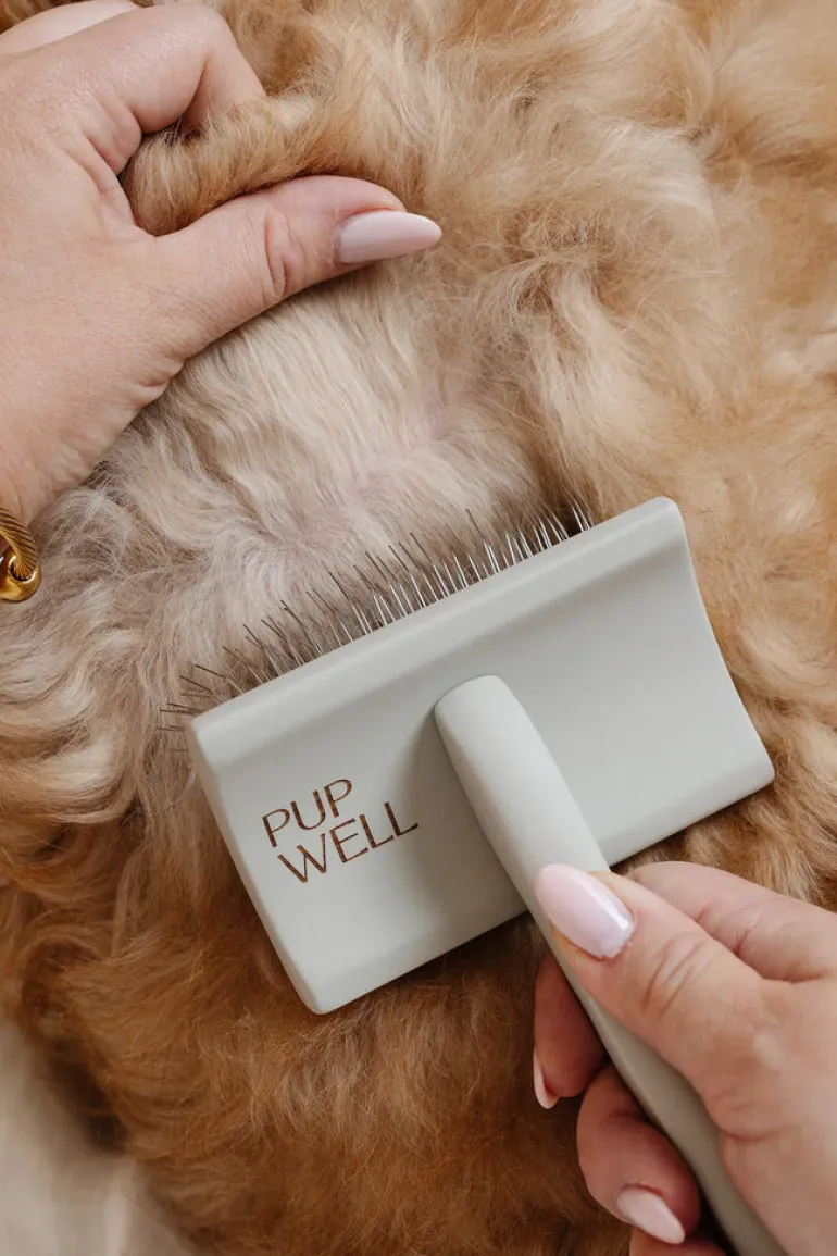 Everyday Slicker Brush for Dogs