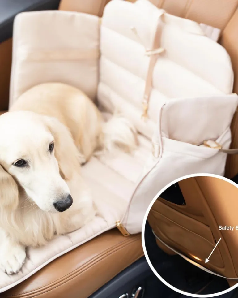 Everywhere Convertible Tote Bag Pet Carrier