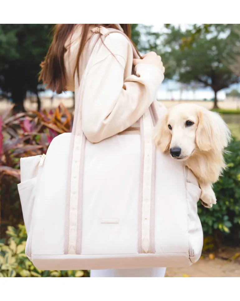 Everywhere Convertible Tote Bag Pet Carrier