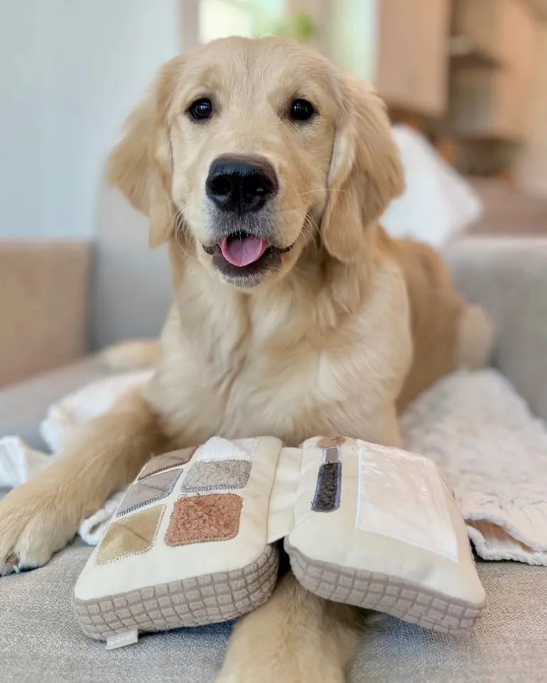 Eyeshadow Palette Dog Enrichment Snuffle Toy