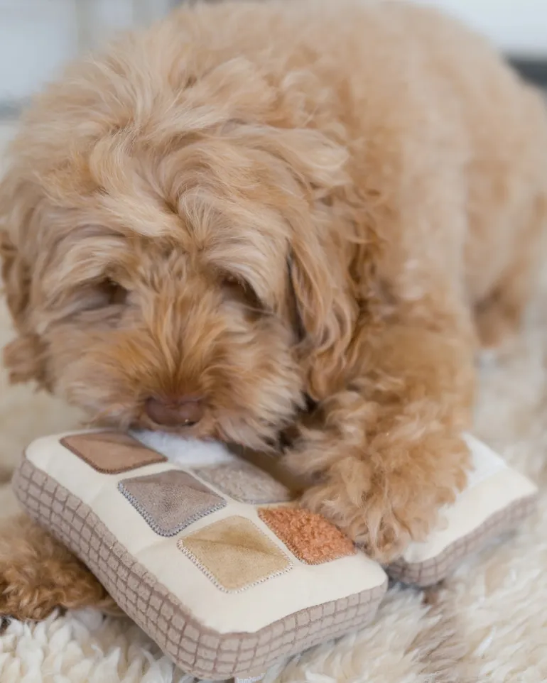 Eyeshadow Palette Dog Enrichment Snuffle Toy