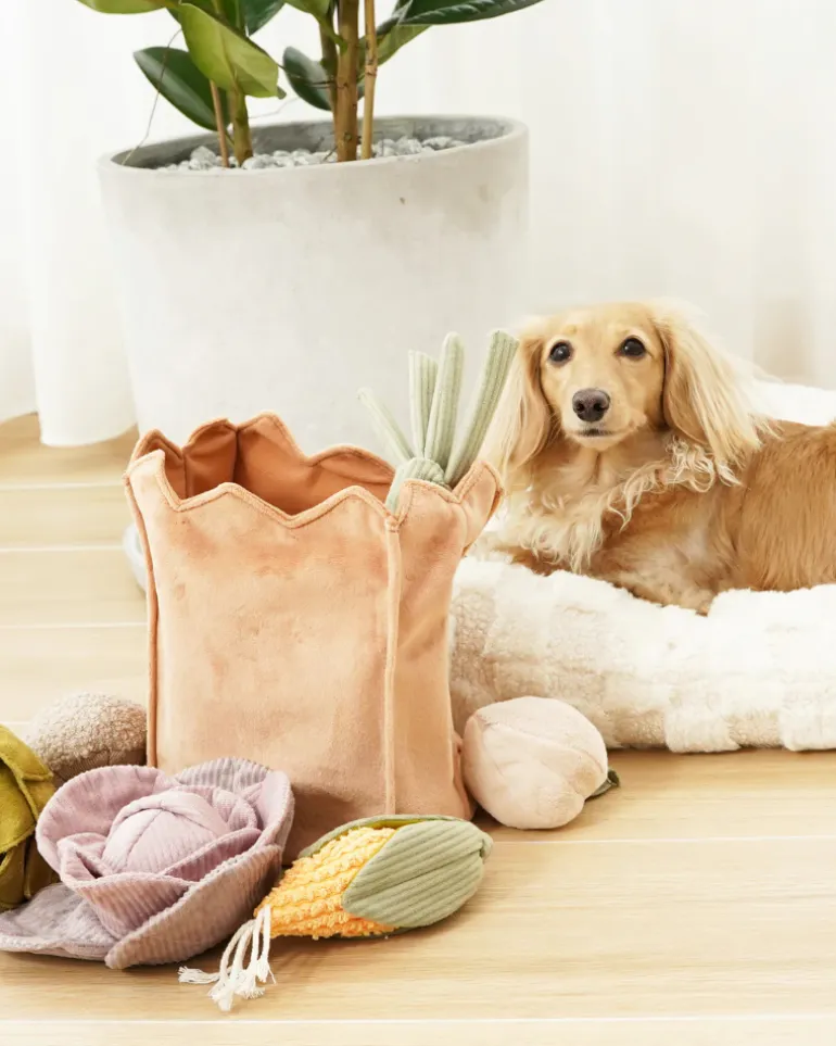 Farmer's Market Bag Crinkle Dog Toy (Empty Bag Only)
