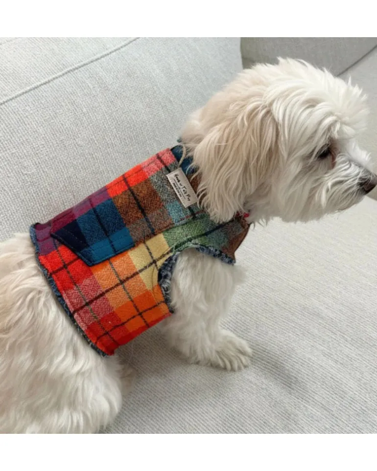 Fireside Plaid Print Dog Harness (Made in the USA)