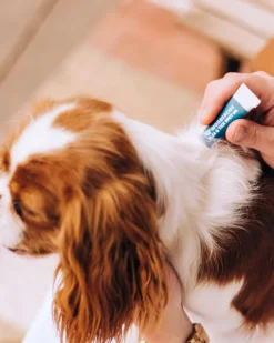 Flea & Tick Spot On for Dogs + Cats with Natural Essential Oils