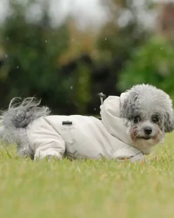 Fleece-Lined Winter Coverall for Dogs