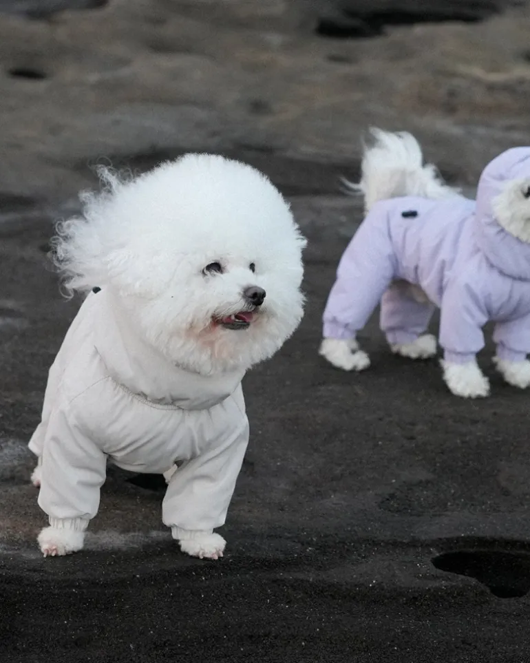 Fleece-Lined Winter Coverall for Dogs