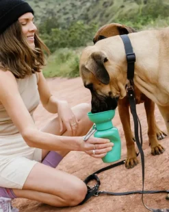 Flip Top Travel Water Bottle for Dogs