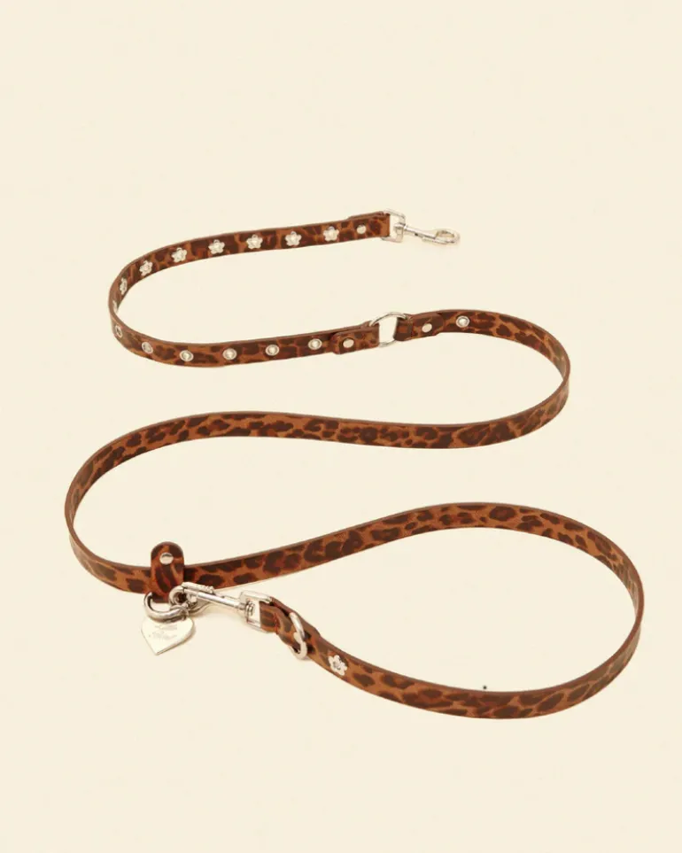Flower Power Dog Leash in Cougar