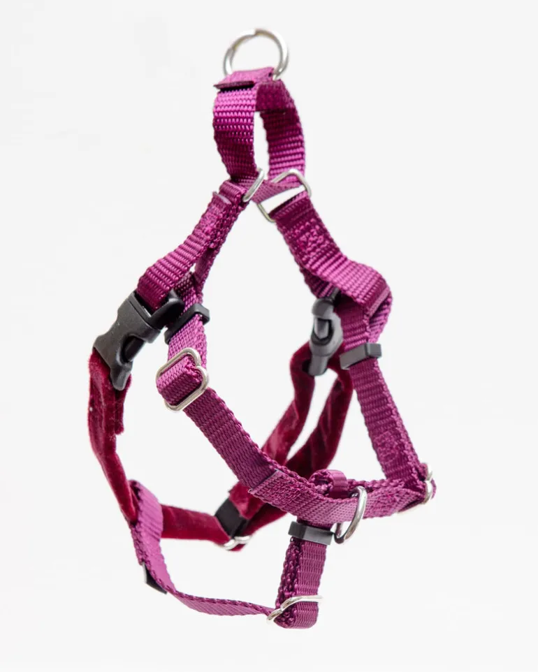 Freedom No-Pull Harness in Burgundy (Made in the USA)