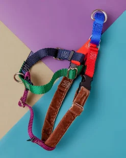 Freedom No-Pull Harness in Spice (Made in the USA)