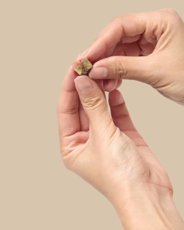 Freeze-Dried Beef Liver On-the-Go Dog Treat Pack