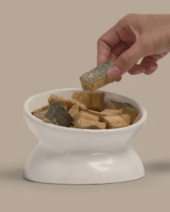 Freeze-Dried Salmon On-the-Go Dog Treat Pack