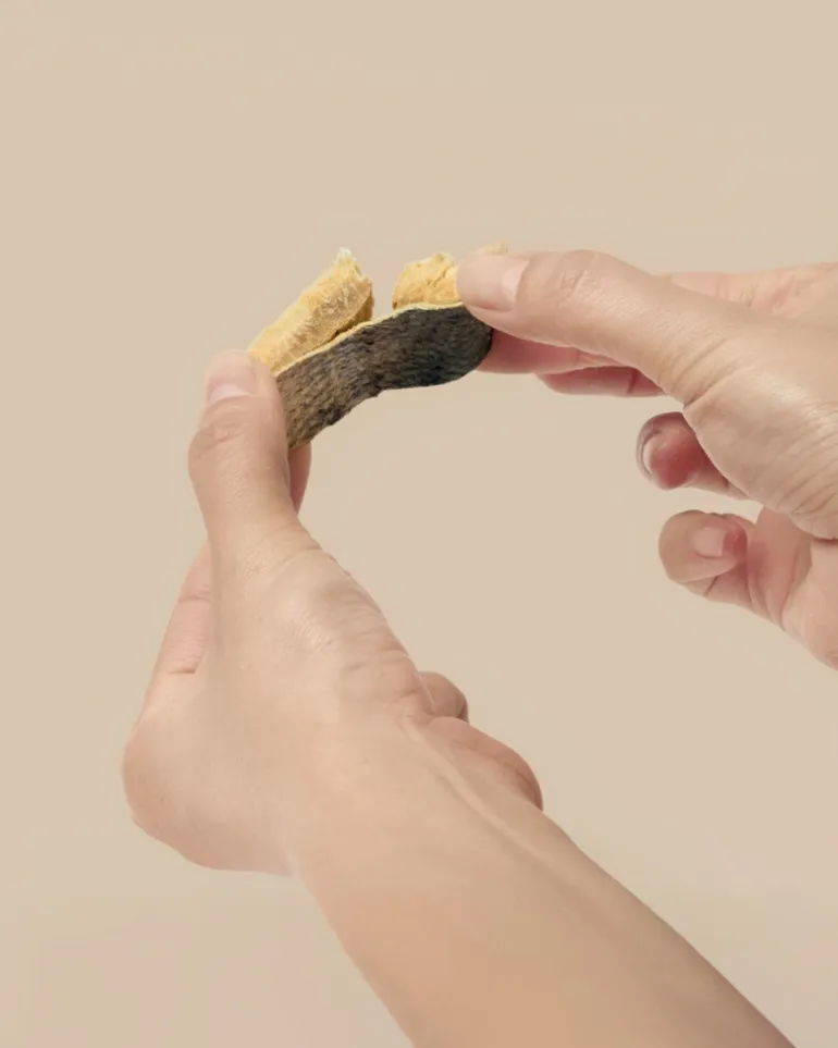Freeze-Dried Salmon On-the-Go Dog Treat Pack