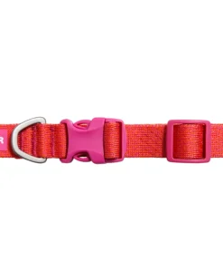 Front Range™ Flex Dog Collar in Rose Violet