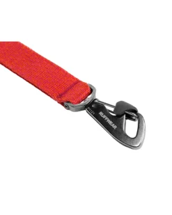 Front Range™ Flex Dog Leash in Rose Violet