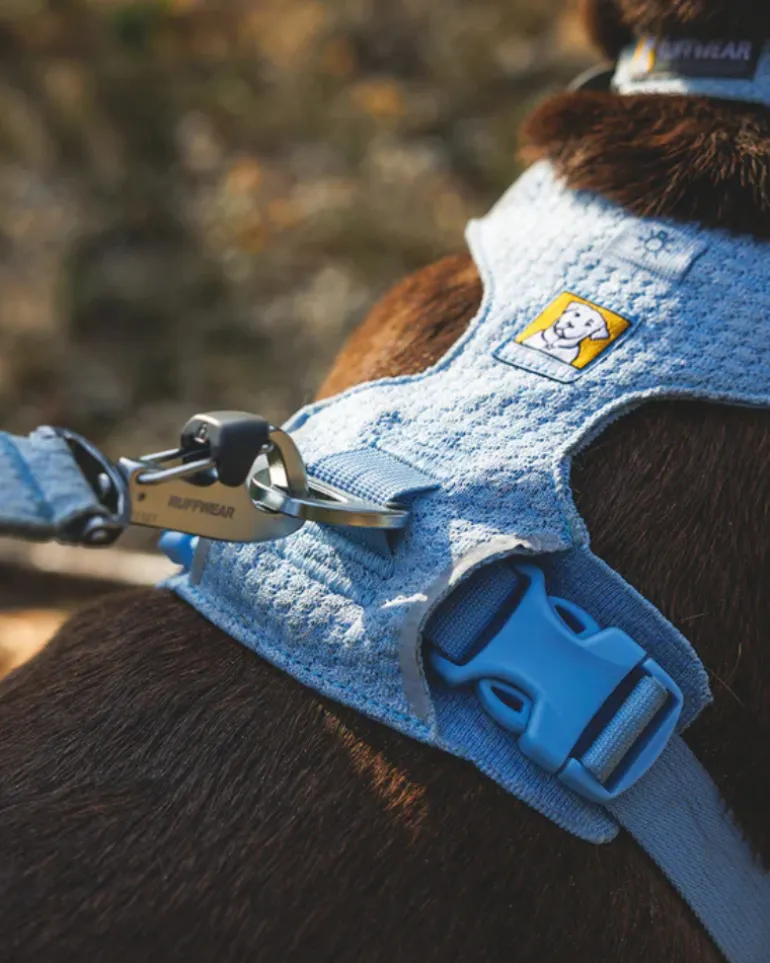 Front Range Flex Harness in Polar Blue