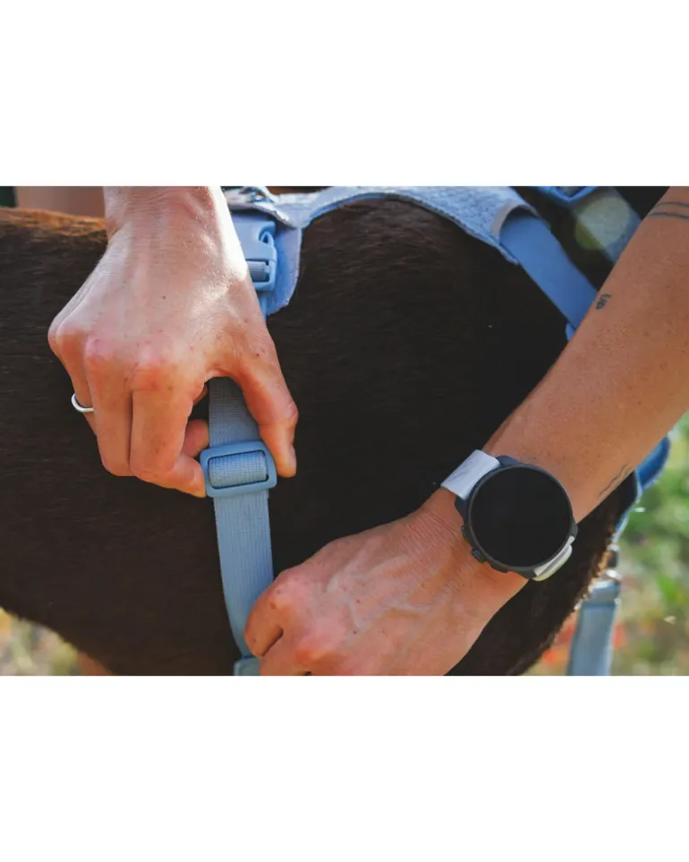 Front Range Flex Harness in Polar Blue