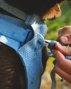 Front Range Flex Harness in Polar Blue