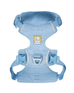 Front Range Flex Harness in Polar Blue