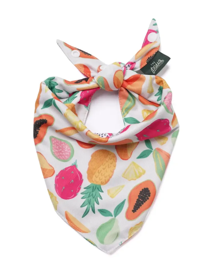 Fruit Salad Cooling Dog Bandana
