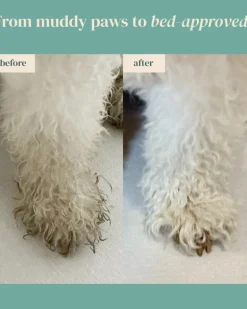 Furfection Rice Water Paw & Facial Shampoo