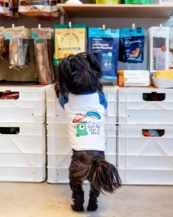 *Get Me Out of Here* Graphic Dog T-Shirt