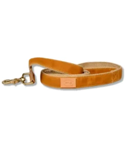 Golden Waxed Dog Collar (Made in the USA)
