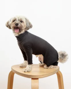 Gold Paw Body Warm Onesie Dog Suit in Black (Made in the USA)