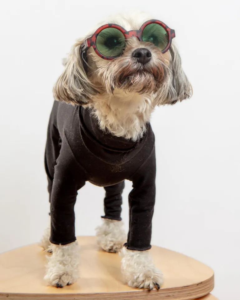 Gold Paw Body Warm Onesie Dog Suit in Black (Made in the USA)