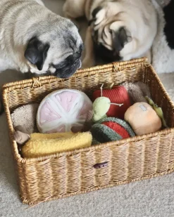 Grapefruit Plush Enrichment Dog Toy