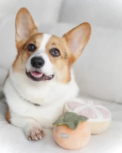 Grapefruit Plush Enrichment Dog Toy
