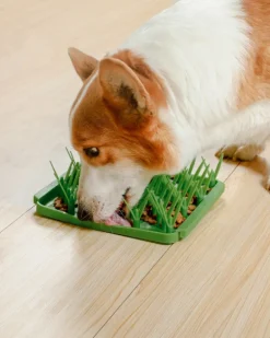 Grass Foraging Mat For Dogs