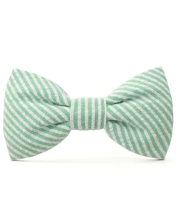 Green Seersucker Dog Bow Tie