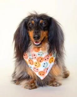 Groovy Smile Dog Bandana (Made in the USA)