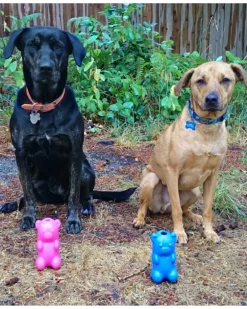 Gummy Bear Crunch Dog Toy (Made in the USA)