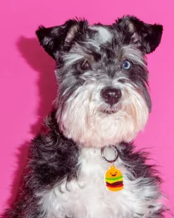 Hamburger Dog Collar Charm