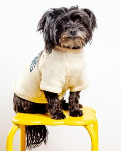 Hamptons Dog Sweatshirt in Oat