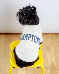 Hamptons Dog Sweatshirt in Oat